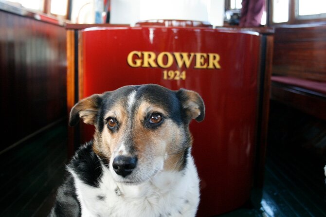 1 Hour Sight seeing Melbourne River Cruise on historic vessel - BYO snacks and wine: keep it simple, and plan for yourself