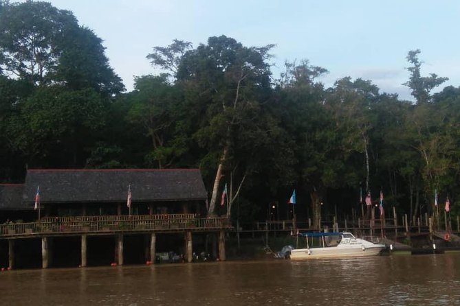 2D1N Sandakan Private Tour with Kinabatangan River Cruise - Kinabatangan River cruise: your best wildlife strategy starts before you board