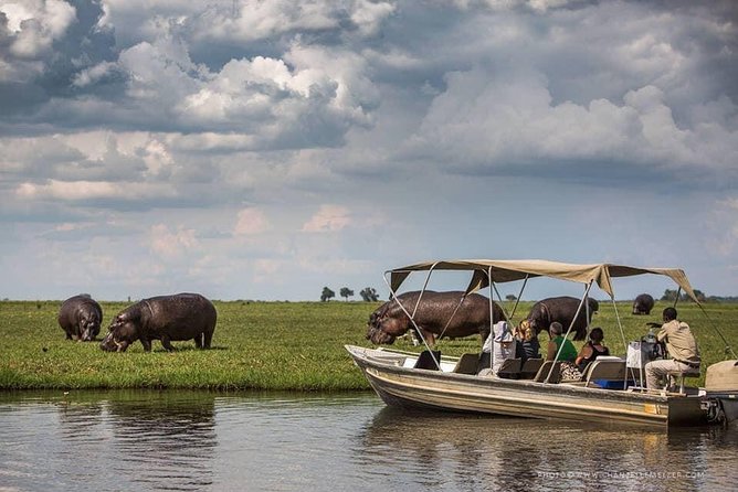 3 Hours Chobe River Boat Cruise - Key things I’d circle before you go