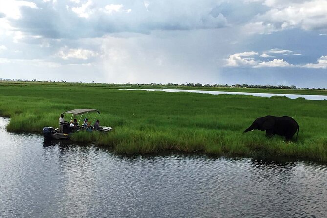 3 Hours Chobe River Boat Cruise - The onboard experience: comfort, timing, and included drinks