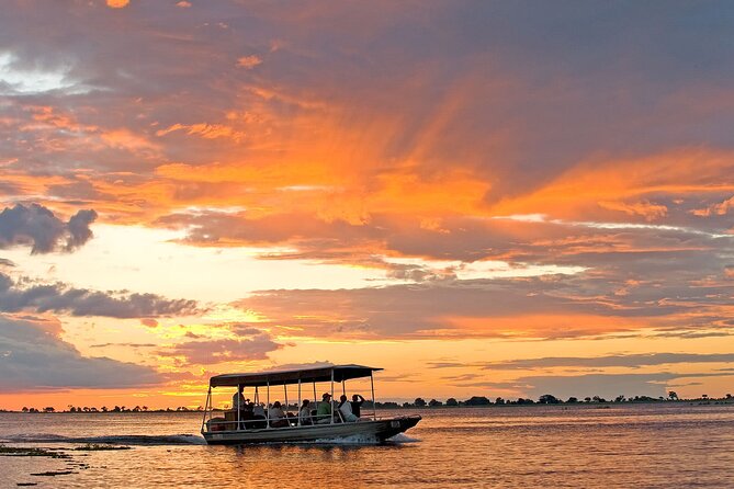 3 Hours Chobe River Boat Cruise - Price and value: why $94 can be a good deal in Chobe
