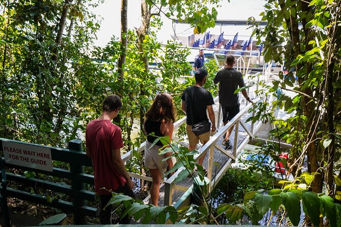 Afternoon Daintree Tour with River Cruise from Port Douglas - A half-day that starts in Port Douglas (and gets you to the rainforest fast)