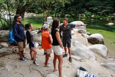 Afternoon Daintree Tour with River Cruise from Port Douglas - The Daintree River cruise: spotting crocs without the hype