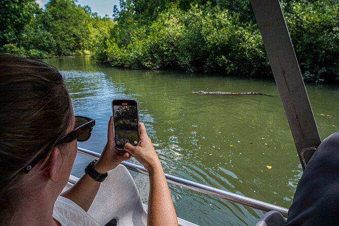 Afternoon Daintree Tour with River Cruise from Port Douglas - Who this tour fits best (and who should think twice)