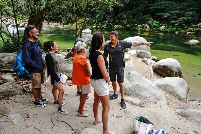 Afternoon Daintree Tour with River Cruise from Port Douglas - The Daintree River cruise: spotting crocs without the hype