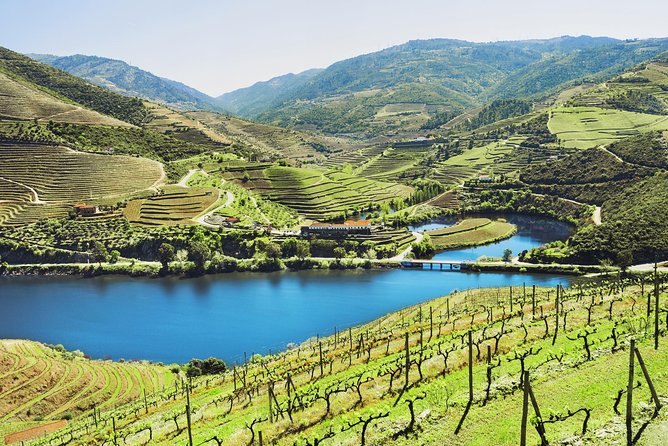 Authentic Small Group Douro Wine Tour with Lunch & River Cruise - Peso da Régua: the quick coffee stop that frames the Douro story