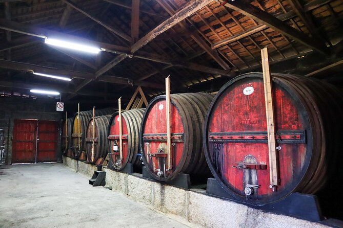 Authentic Small Group Douro Wine Tour with Lunch & River Cruise - Driving the N222: where the views come with the schedule