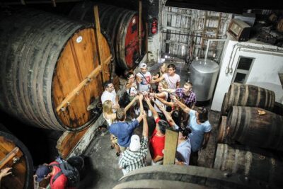 Authentic Small Group Douro Wine Tour with Lunch & River Cruise - Quinta do Tedo: learning wine production and tasting with a guide