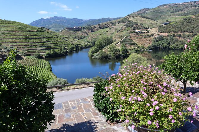 Authentic Small Group Douro Wine Tour with Lunch & River Cruise - Small group size: why 8 people changes the feel