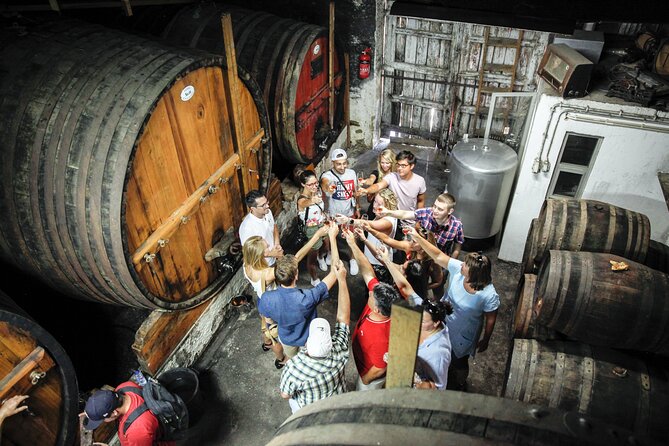 Authentic Small Group Douro Wine Tour with Lunch & River Cruise - Quinta do Tedo: learning wine production and tasting with a guide