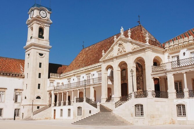 Aveiro and Coimbra Small Group Tour with Moliceiro Boat Cruise - The Moliceiro Cruise: Aveiro’s Canals Without the Stress