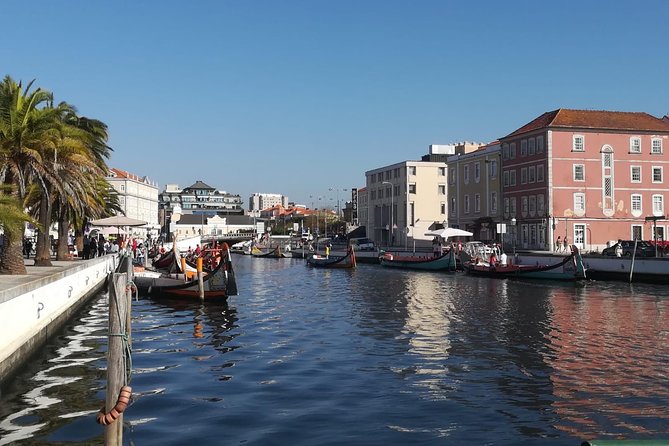 Aveiro and Coimbra Small Group Tour with Moliceiro Boat Cruise - Who This Tour Fits Best