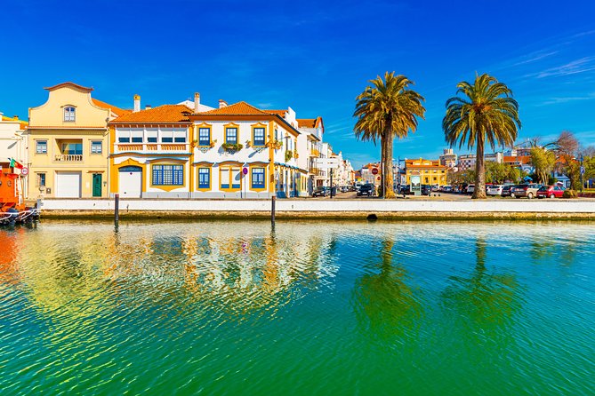 Aveiro Half Day Private Tour Porto w/ Moliceiro River Cruise - From Porto hotel to Aveiro canals: how the timing really feels