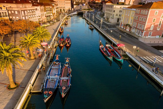 Aveiro Half Day Private Tour Porto w/ Moliceiro River Cruise - Guide quality and pacing: private attention, but not a slow day