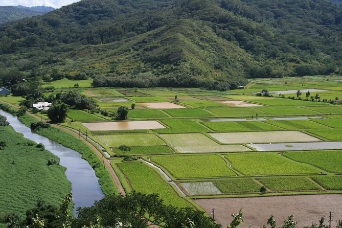 Best Kauai Northeast, Fern Grotto River Cruise & Lighthouse Tour - Price and Value: Does $220.44 Buy You Enough?