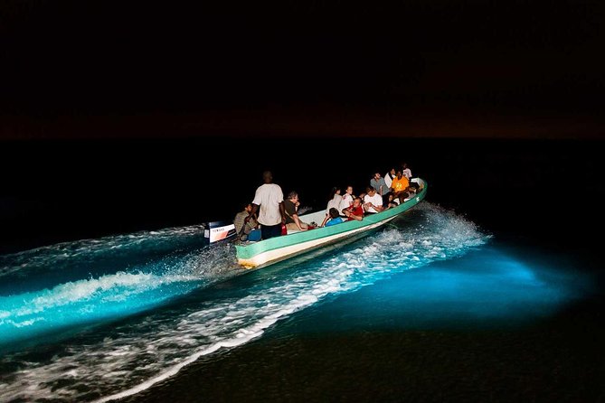 Bioluminescence Tour & Sunset River Cruise - Key things to know before you go