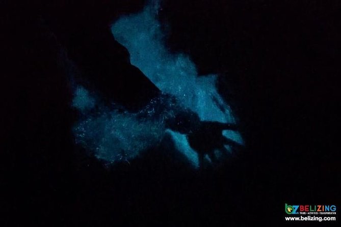 Bioluminescence Tour & Sunset River Cruise - Price and logistics: what $100 buys you in Hopkins