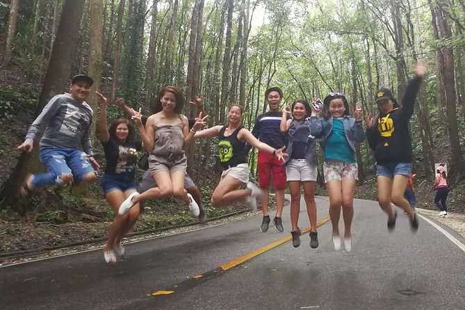 BOHOL Tour 2026 - Chocolate Hills, Tarsier and River Cruise Lunch - The Loboc River cruise lunch: where the day slows down