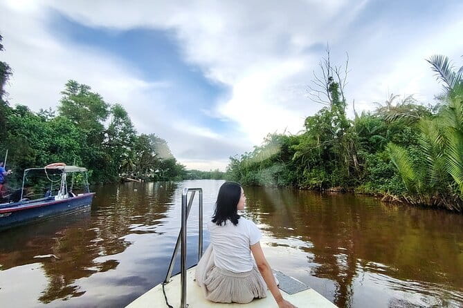 Bongawan River Cruise Proboscis Monkey, SkyMirror, Fireflies - Entering The Shore: timing, pickup, and how the day flows