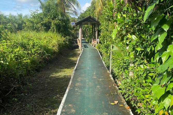 Borneo (Klias) River Cruise & Fireflies Tour - Ride comfort from Kota Kinabalu: vans, roadworks, and AC surprises