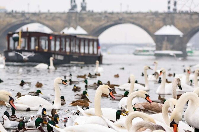 Charles Bridge: River Boat Cruise & Guided Tour ️with PragueWay - A castle view from the bridge: quick, useful, and time-smart