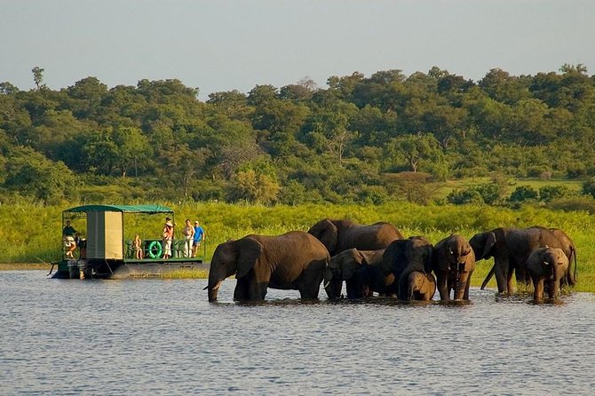 Chobe National Park 4X4 Day Safari and River Cruise - Key Points You’ll Care About