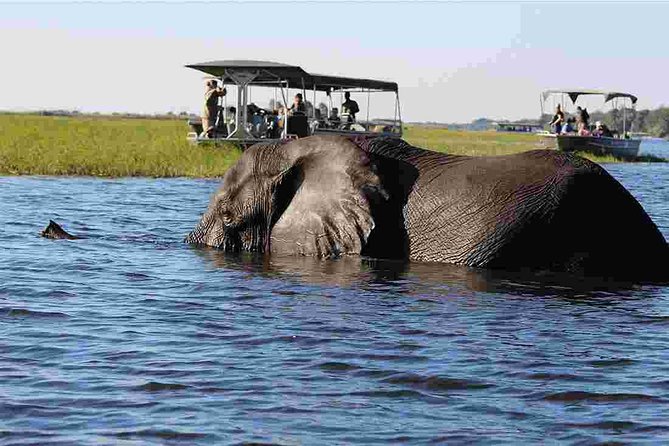 Chobe National Park 4X4 Day Safari and River Cruise - Border Formalities: Where Time Can Slip