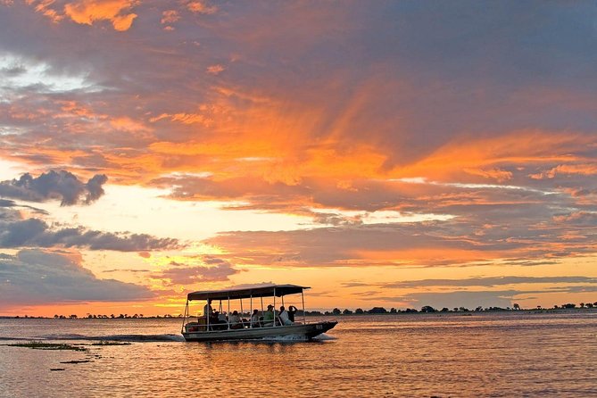Chobe National Park 4X4 Day Safari and River Cruise - Lunch at Chobe Safari Lodge (or Similar): Refuel Without Losing the Day