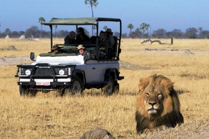 Chobe National Park 4X4 Day Safari and River Cruise - The Morning Pickup and the Road Through Zambezi National Park