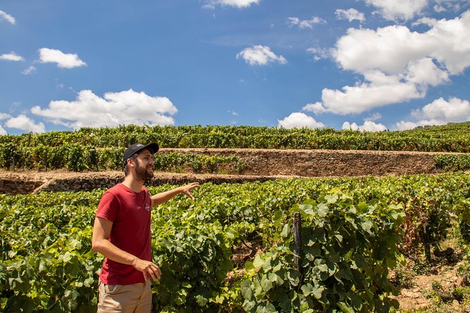 Complete Douro Valley Wine Tour with Lunch, Wine Tastings and River Cruise - Key things that make this Douro day worth your time
