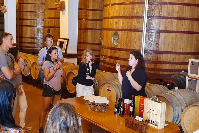 Complete Douro Valley Wine Tour with Lunch, Wine Tastings and River Cruise - Passing Estrada Nacional 222: the drive that turns into a slow photo walk