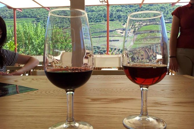 Complete Douro Valley Wine Tour with Lunch, Wine Tastings and River Cruise - Folgosa winery finale: vineyard-to-bottle plus a clean tasting wrap-up