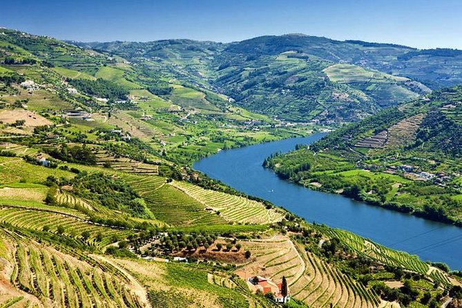 Complete Douro Valley Wine Tour with Lunch, Wine Tastings and River Cruise - Price and value: where the $101.76 per person really goes