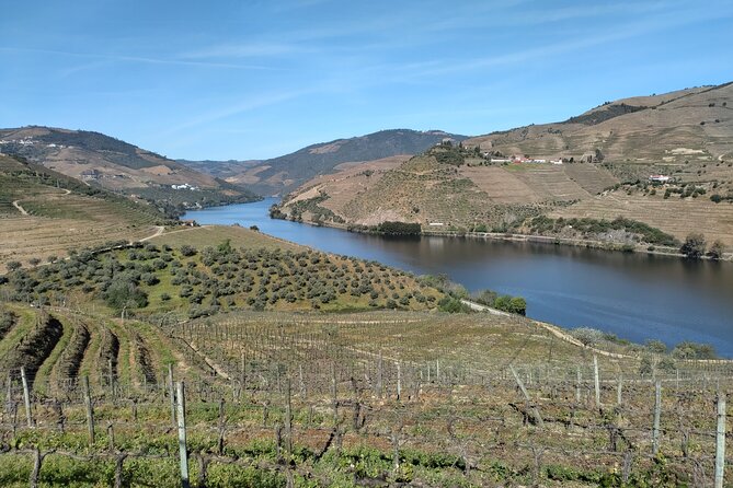 Complete Private Douro Valley Wine Tour - Why This Tour’s Private Setup Feels Worth It