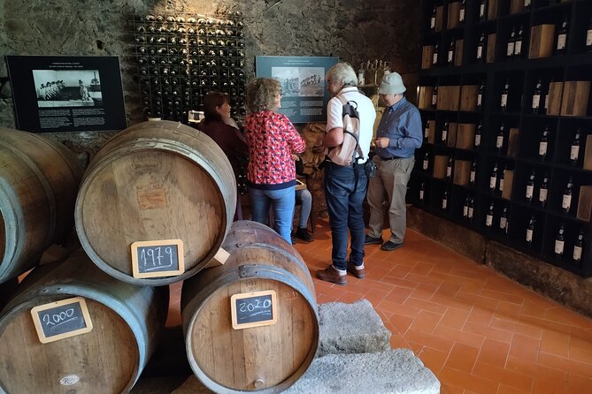 Complete Private Douro Valley Wine Tour - The Pinhão Stop: Port Wine on the River Makes It Feel Like a Break