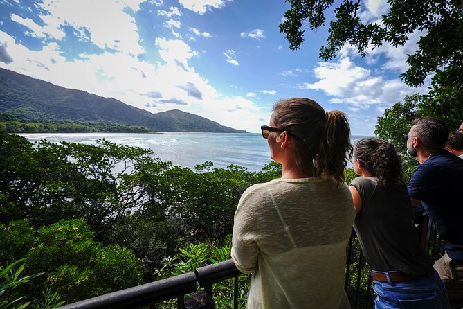 Daintree, Cape Tribulation & River Cruise from Port Douglas - Key things to know before you go