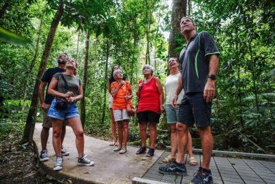 Daintree, Cape Tribulation & River Cruise from Port Douglas - Mossman Gorge Cultural Centre: start with context, then walk