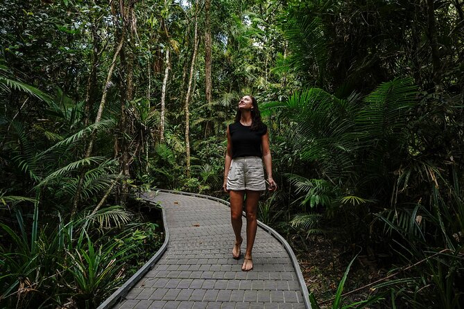 Daintree, Cape Tribulation & River Cruise from Port Douglas - Heritage Lodge lunch at On The Turps: rainforest dining with a view