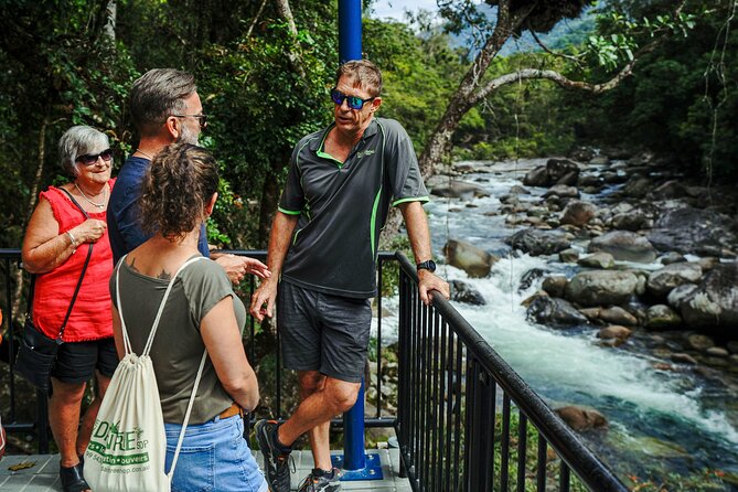 Daintree, Cape Tribulation & River Cruise from Port Douglas - Cooper Creek swim: the refreshing break (and why it’s chosen)