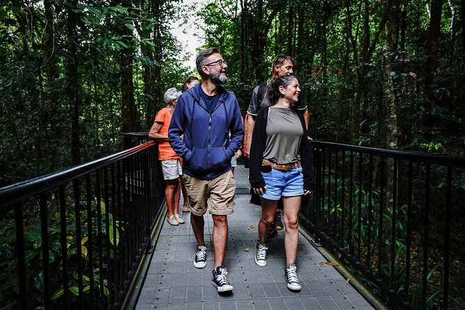 Daintree, Cape Tribulation & River Cruise from Port Douglas - Cape Tribulation: beach time plus a classic lookout