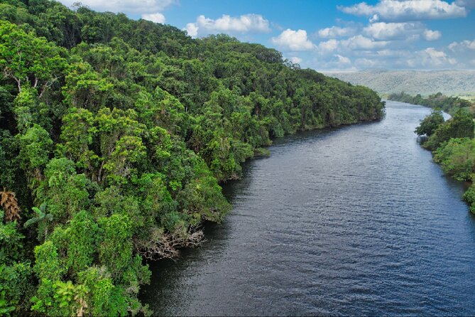Daintree River Cruise - Thornton Peak Views: Why That Background Matters