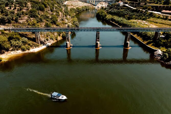 Douro River Cruise from Pinhão with Scenic Train Return - Price and Value: What You’re Paying for at $30.23