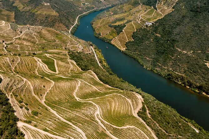 Douro River Cruise from Pinhão with Scenic Train Return - Who This Douro Cruise Fits Best