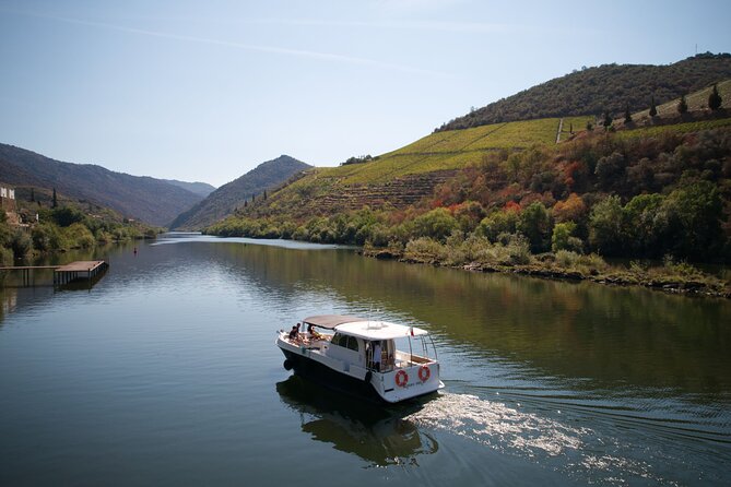 Douro River Cruise - Private River Cruise - Pinhão 1 Hour - Why Private Time on the Douro Feels Better Than You Expect