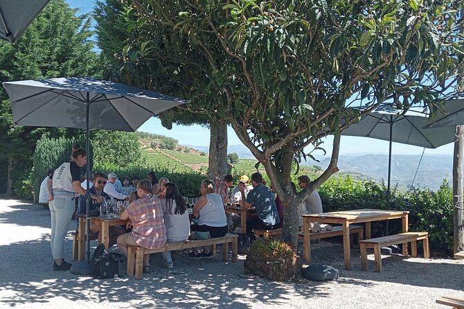 Douro Tour with Wine Tasting, River Cruise and Visit to Lamego - Pinhão Rabelo River Cruise: The Calm Middle of a Busy Day