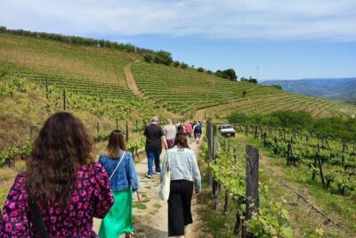 Douro Tour with Wine Tasting, River Cruise and Visit to Lamego - World Heritage Douro Valley Welcome: What You Learn Before the Views
