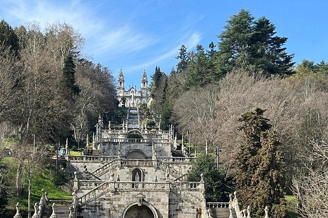 Douro Tour with Wine Tasting, River Cruise and Visit to Lamego - Lamego Vineyard Visit: Family Wine Tasting with Real Focus