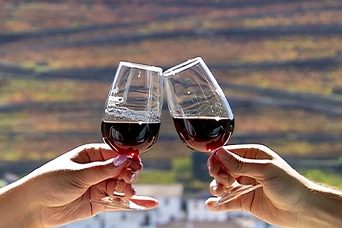 Douro Valley Full Day Tour with River Cruise and Wine Tastings - Getting Oriented in Porto: Trindade, the 8:30 am start, and a small group