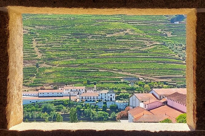 Douro Valley Full Day Tour with River Cruise and Wine Tastings - Pinhão along National Road 222: the famous river views on the way in