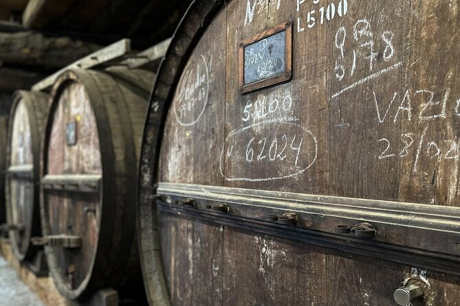 Douro Valley Full Day Tour with River Cruise and Wine Tastings - Wine tastings: how to get the most out of two estates